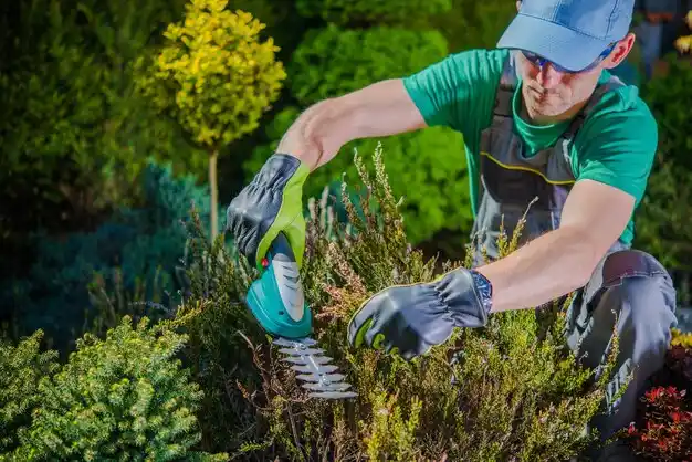 landscaping services Tivoli